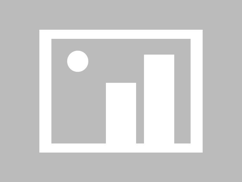 说真的，每日大赛争议来了：最真实的网页版，一口气看完才懂（真的有点离谱）