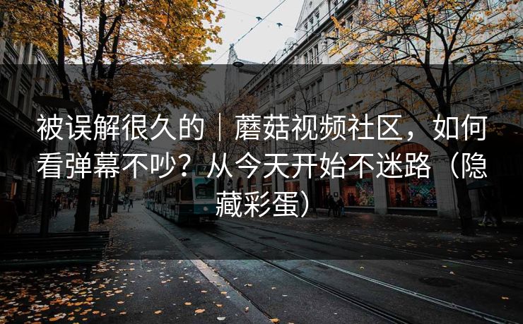 被误解很久的｜蘑菇视频社区，如何看弹幕不吵？从今天开始不迷路（隐藏彩蛋）