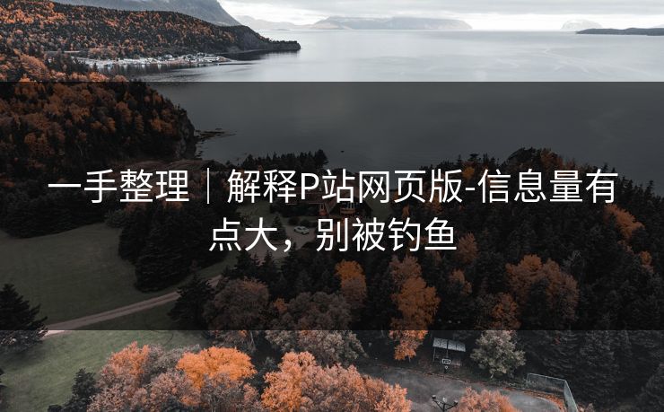 一手整理｜解释P站网页版-信息量有点大，别被钓鱼