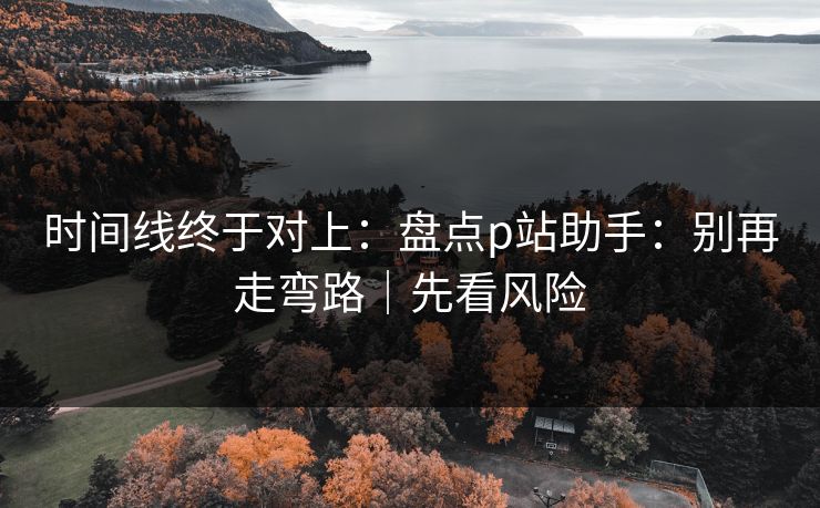 时间线终于对上：盘点p站助手：别再走弯路｜先看风险