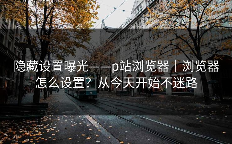 隐藏设置曝光——p站浏览器|浏览器怎么设置?从今天开始不迷路 隐藏设置曝光——p站浏览器|浏览器怎么设置?从今天开始不迷路