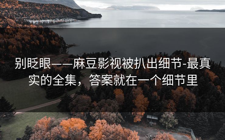 别眨眼——麻豆影视被扒出细节-最真实的全集，答案就在一个细节里