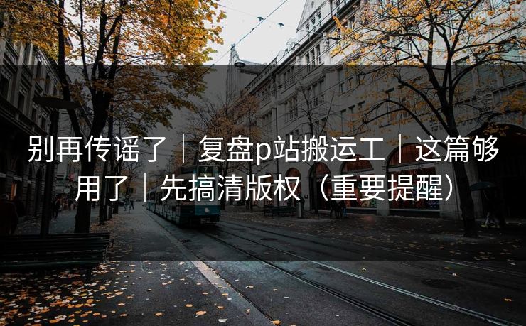 别再传谣了｜复盘p站搬运工｜这篇够用了｜先搞清版权（重要提醒）