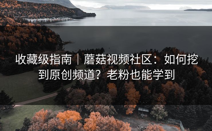 收藏级指南｜蘑菇视频社区：如何挖到原创频道？老粉也能学到