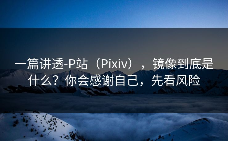 一篇讲透-P站（Pixiv），镜像到底是什么？你会感谢自己，先看风险