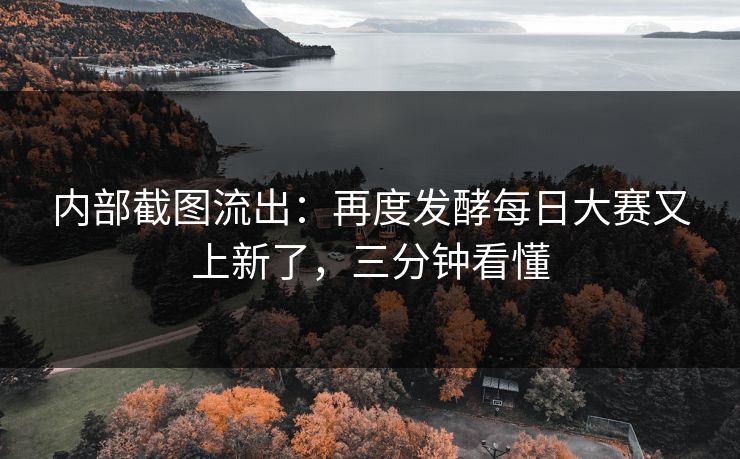 内部截图流出：再度发酵每日大赛又上新了，三分钟看懂