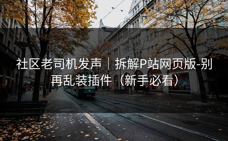 社区老司机发声｜拆解P站网页版-别再乱装插件（新手必看）