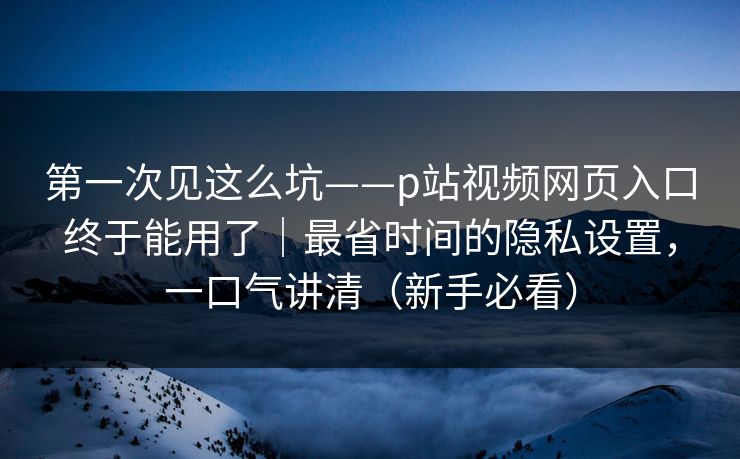 第一次见这么坑——p站视频网页入口终于能用了｜最省时间的隐私设置，一口气讲清（新手必看）