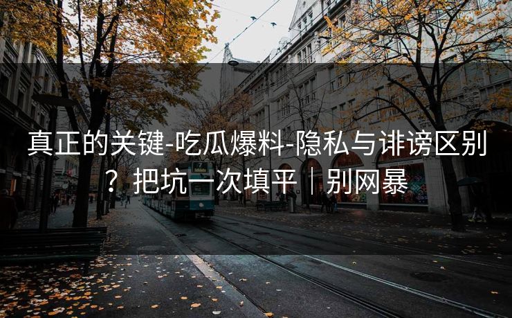 真正的关键-吃瓜爆料-隐私与诽谤区别？把坑一次填平｜别网暴