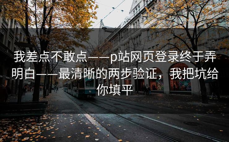 我差点不敢点——p站网页登录终于弄明白——最清晰的两步验证，我把坑给你填平