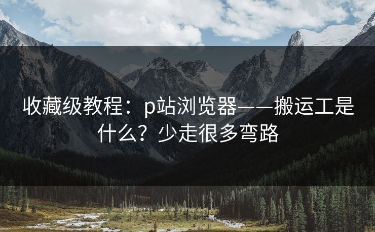 收藏级教程:p站浏览器——搬运工是什么?少走很多弯路 收藏级教程:p站浏览器——搬运工是什么?少走很多弯路