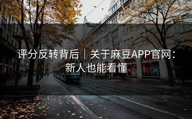 评分反转背后｜关于麻豆APP官网：新人也能看懂